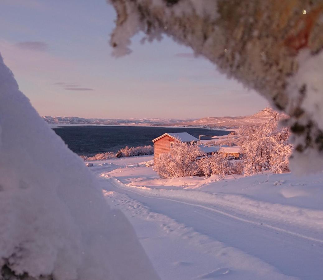 Nesseby Guesthouse Varangerbotn Buitenkant foto